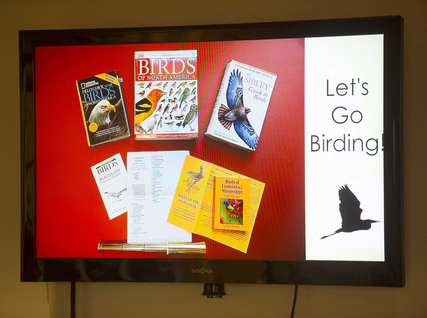 BR.birdday.010619_43